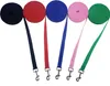 Pawise Flat Leash 15 meter Produktbild-Vorschau 4