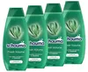 SCHAUMA Shampoo Fresh Volume, 4x 400ml Produktbild-Vorschau 1
