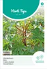Artikelbild 2 von 'Wunderbaum' aus der Kategorie Wunderbaumsamen Produktbild-Vorschau