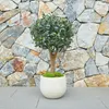 aplanta Künstlicher Olivenbaum – Nerio | 75 cm, Produktbild-Vorschau 2