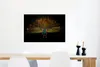 MuchoWow® Poster Pfau - Federn - Nacht 90x60 cm - Produktbild-Vorschau 5