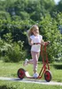 Winther VIKING maxi scooter con freno a pedale per bambini Anteprima dell’immagine prodotto 7