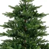 EVERLANDS Weihnachtsbaum Grandis Tanne 681454 Anteprima dell’immagine prodotto 5