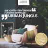 Schöner Wohnen Trendfarbe matt 2,5 L Farbwahl, Farbe:Jungle Produktbild-Vorschau 3