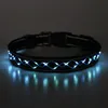 LED Hundehalsband – Leuchthalsband für Hunde, Produktbild-Vorschau 1