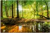 ARTland Leinwandbild Wald mit Bach Größe: 90x60 cm Produktbild-Vorschau 1