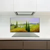 Coloray Spritzschutz aus Glas 120x60  Wandkunst Produktbild-Vorschau 3