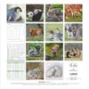 Alpha Edition - Tierbabys Kalender 2026 - Wandkalender Produktbild-Vorschau 9