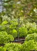 Gardena Micro-Drip-System Sprühdüse 360 Grad: Rundum-360 Produktbild-Vorschau 6