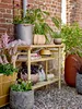 A collection of potted plants and decorative items arranged on a wooden shelf against a brick wall. Produktbild-Vorschau
