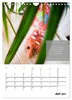 Mettkalender - Spread Some Mett. (Wandkalender 2027 DIN A4 Produktbild-Vorschau 10