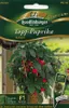 Topfpaprika, Kobold F1 Produktbild-Vorschau 4
