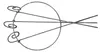 Staudenhalter 40 cm Pflanzenstütze aus 8 mm Volleisen – 80 Produktbild-Vorschau 7