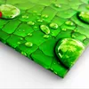 Bild auf Leinwand - Leinwandbild - Marienkäfer Gras Blatt Produktbild-Vorschau 5