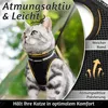 rabbitgoo Katzengeschirr mit Leine Ausbruchsicher für Produktbild-Vorschau 3