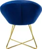A blue velvet chair with gold metal legs, shown from the back. Náhled obrázku produktu