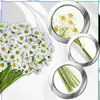 EDIBAZZAR | Fleurs artificielles Marguerites Set de 12 Voir les images du produit 9