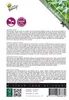Buzzy Microgreens Japanischer Tatsoi Samen - Ca. 1 gr | Produktbild-Vorschau 2