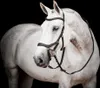 Horseware Ireland Snaffle Micklem 2 s gumovými otěžemi Náhled obrázku produktu 1