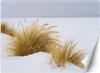 Vlies fototapete Dünen auf goldenem Sand 254x184 cm Feeby Produktbild-Vorschau 1