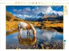 CALVENDO Puzzle Eine Ruhepause tut gut | 1000 Teile Produktbild-Vorschau 1