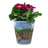 Sehenswürdigkeiten von Leipzig Blumentopf - Dekorativer Produktbild-Vorschau 2