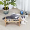 FATIVO Ciotola rialzata per cani e gatti 31×17×16 cm – Anteprima dell’immagine prodotto 14
