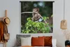 MuchoWow® Wandteppich Wandbehang Baby - Affe - Äste 120x120 Produktbild-Vorschau 4