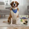 5 kg (25 x 200 g) Lyra Pet® Entenbrust gefriergetrocknet Produktbild-Vorschau 4