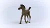 schleich HORSE CLUB 13957, 5 Jahr(e), Horses, Braun Produktbild-Vorschau 7