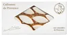 Arnaud-Soubeyran Calissons de Provence 140g Produktbild-Vorschau 3