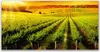 Tulup Leinwand-Bilder 140x70 Wandbild Canvas Kunstdruck Produktbild-Vorschau 1