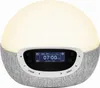 Lumie Bodyclock Shine 300 budzik świetlny z radiem 15 Podgląd zdjęcia produktu 1