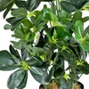 Schefflera Arboricola Plante Arbre Artificielle Artificiel Voir les images du produit 2