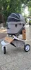 AirBuggy Dome 3 Premier Large - Erde Grau - Premium-Buggy Produktbild-Vorschau 6