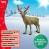 schleich WILD LIFE 72271, 14 Jahr(e), Mehrfarbig, 1 Produktbild-Vorschau 6