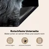 KitchenYeah© Herdabdeckplatte Katze - Licht - Schwarz , Produktbild-Vorschau 5