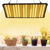A grow light illuminates several potted succulents and cacti arranged on a ledge, with a blurred cityscape in the background. Produktbild-Vorschau