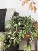 Mica Decorations Tradescantia hängende Kunstpflanze - L15 x Produktbild-Vorschau 2