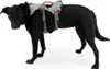 Ruffwear Double Back Harness Geschirr Cloudburst Gray, Produktbild-Vorschau 13
