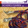 Führstrick Pferd Anbindestrick für Pferde mit stabilem Produktbild-Vorschau 6
