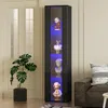 A tall, narrow black display cabinet with glass doors and LED lighting, showcasing several decorative figurines. A large potted plant is to the left, and a sofa with a patterned cushion is to the right. The scene is set indoors, likely in a living room. Náhľad obrázku produktu
