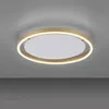 Stropní svítidlo LED, matná mosaz, stmívatelné, D 39,3 cm Náhled obrázku produktu 7