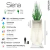 Monumo®️ Vaso di fiori luminoso grande 75 x 41 cm | adatto Anteprima dell’immagine prodotto 3