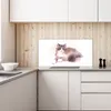 Coloray Küchenrückwand 140x70 Spritzschutz aus Glas - Produktbild-Vorschau 3
