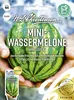 Mini - Wassermelone Mini love F1 | Melonensamen von N.L. Produktbild-Vorschau 3