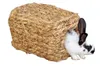 KERBL Grashaus für Nagetiere, 28x18x15 cm Produktbild-Vorschau 1