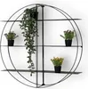 A black metal round wall shelf with four shelves, holding four potted plants. Produktbild-Vorschau
