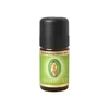 Bio Eukalyptus radiata, 5 ml Produktbild-Vorschau 1