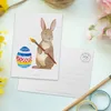 Mr. & Mrs. Panda Postkarte Hase Eier Malen - Weiß - Produktbild-Vorschau 3